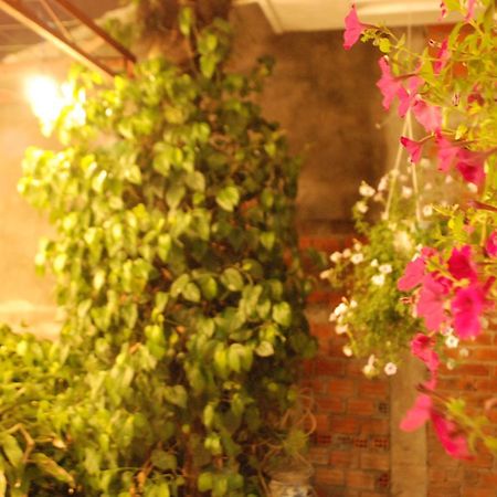 Winna Airport Hostel דה נאנג מראה חיצוני תמונה